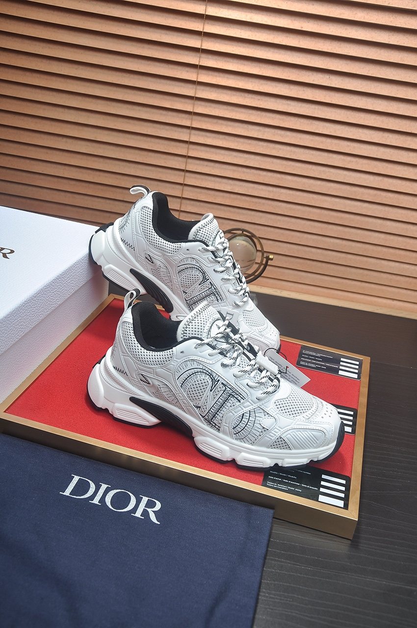 Dior Silver, White & Black Low-Top Sneakers